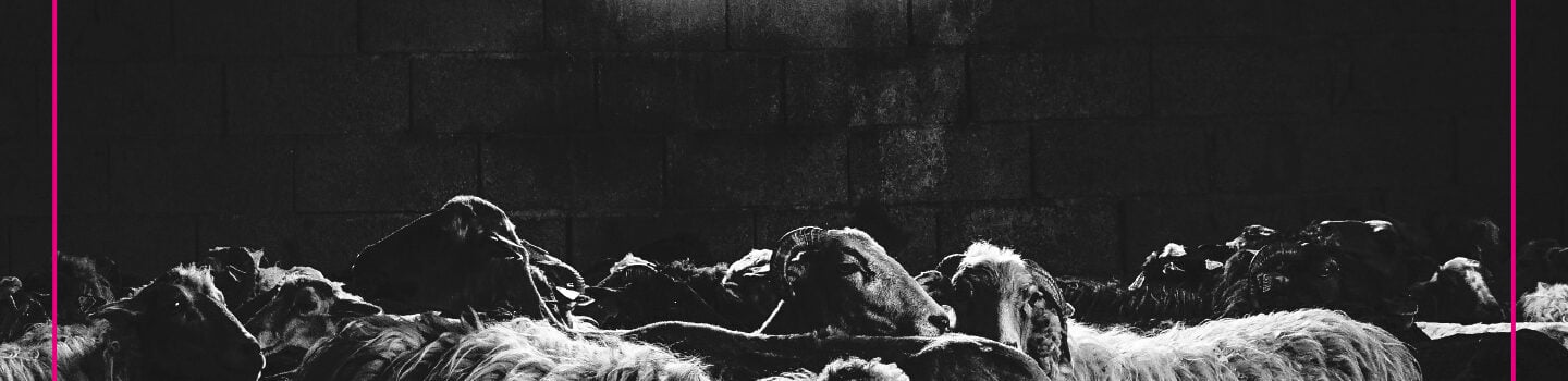 tradethik productions uncategorized visuel pochette numerique