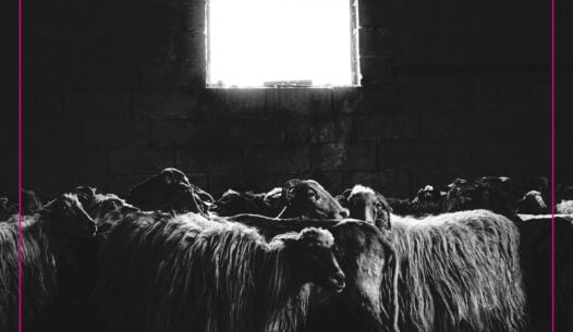 tradethik productions uncategorized visuel pochette numerique