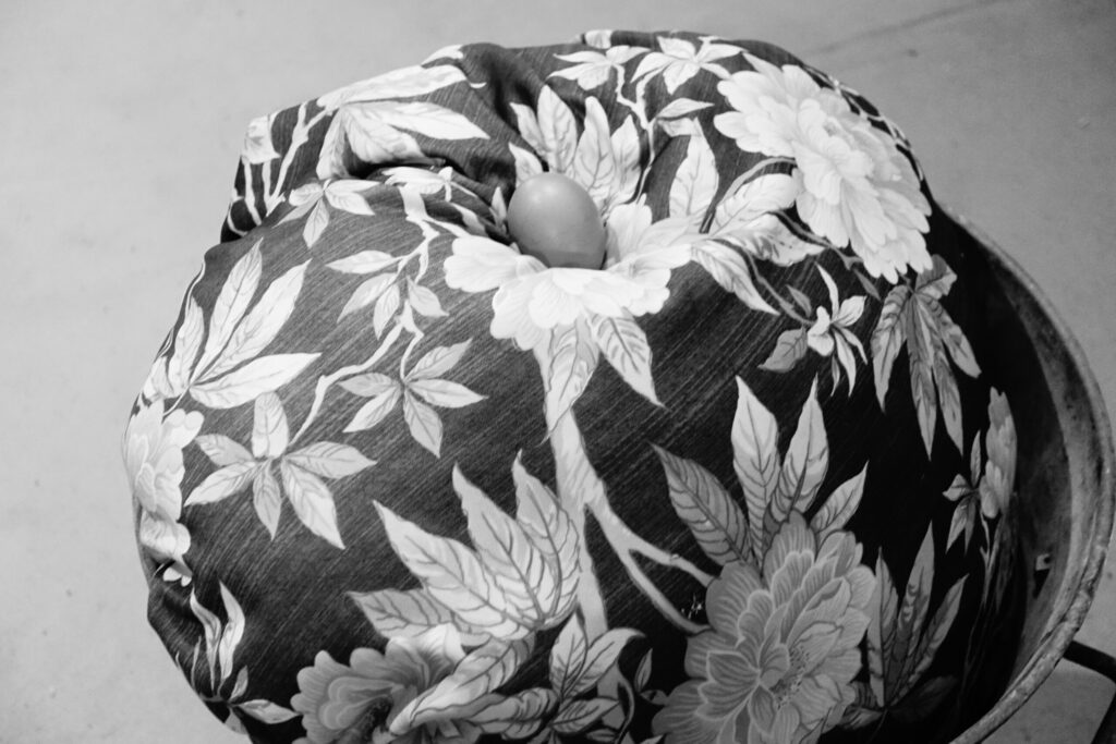 tradethik productions galerie dsc 