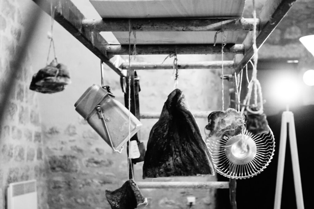 tradethik productions galerie dsc 